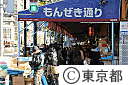 築地中央市場（初セリ・他）