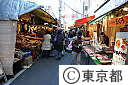 築地中央市場（初セリ・他）