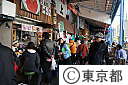 築地中央市場（初セリ・他）
