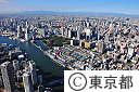 築地中央市場（空撮）
