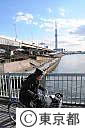 白鬚橋