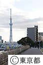 白鬚橋