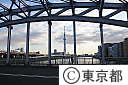 白鬚橋
