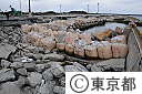 猪瀬副知事が福島県（大波地区・相馬港）を視察