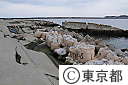 猪瀬副知事が福島県（大波地区・相馬港）を視察