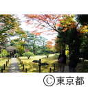 殿ヶ谷戸公園の紅葉