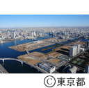 豊洲新市場予定地