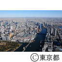 築地中央卸売市場