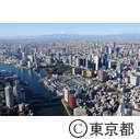 築地中央卸売市場