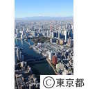 築地中央卸売市場