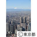 都庁舎