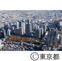 都庁舎