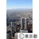 都庁舎