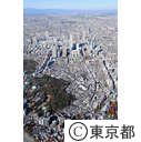 木造密集地域（東池袋５丁目）周辺
