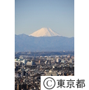 都庁から富士山