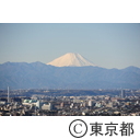都庁から富士山