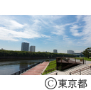 東京2020大会建設予定地 豊洲ぐるり公園  豊洲市場