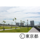 東京2020大会建設予定地 豊洲ぐるり公園  豊洲市場