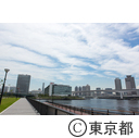 東京2020大会建設予定地 豊洲ぐるり公園  豊洲市場