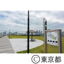東京2020大会建設予定地 豊洲ぐるり公園  豊洲市場