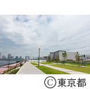 東京2020大会建設予定地 豊洲ぐるり公園  豊洲市場