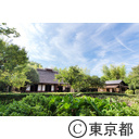 とうきょう日和 次大夫堀公園