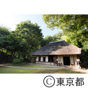 とうきょう日和 次大夫堀公園