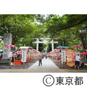 大國魂神社栗まつり