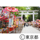 大國魂神社栗まつり