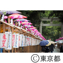 大國魂神社栗まつり