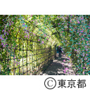 向島百花園萩のトンネル