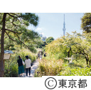 向島百花園萩のトンネル