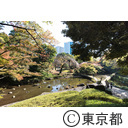 とうきょう日和 小石川後楽園