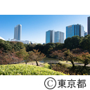とうきょう日和 小石川後楽園