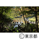 とうきょう日和 小石川後楽園