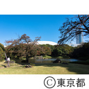 とうきょう日和 小石川後楽園