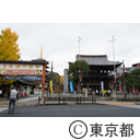 高幡不動尊の紅葉