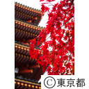 高幡不動尊の紅葉