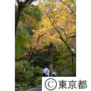 高幡不動尊の紅葉