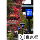 高幡不動尊の紅葉