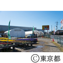 東京の農業 シクラメン