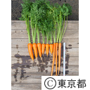東京の農業 馬込三寸にんじん