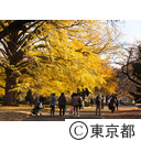 新宿御苑の紅葉