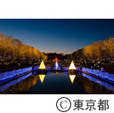 昭和記念公園イルミネーション