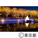 昭和記念公園イルミネーション