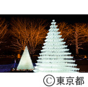 昭和記念公園イルミネーション