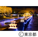 昭和記念公園イルミネーション