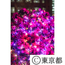 東京ミチテラス