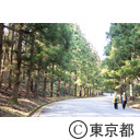 武蔵陵墓地