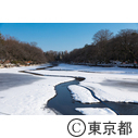 井の頭恩賜公園 かいぼり中の雪